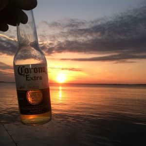 Meet your Posher, Cole